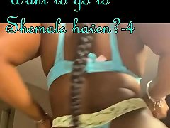 Want To Go To Shemale Haven 4
